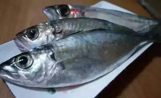 海南，绿色发展的海南模式