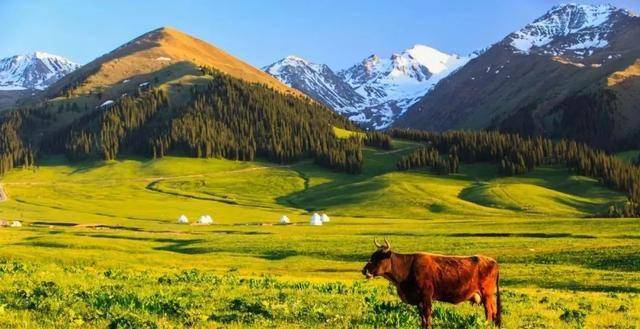 新疆之行,心之所向,梦之所往